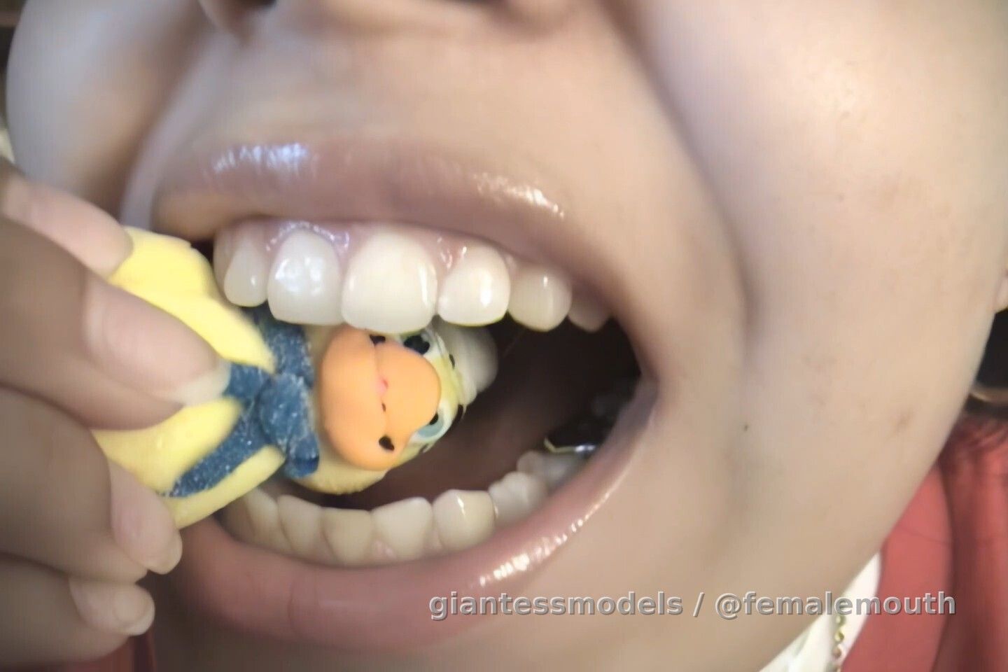 Sexy brunette (Martha) is decapitating sugar animals with her sexy, perfect teeth!!! It's... almost the same as with a real chicks! (Enhanced)