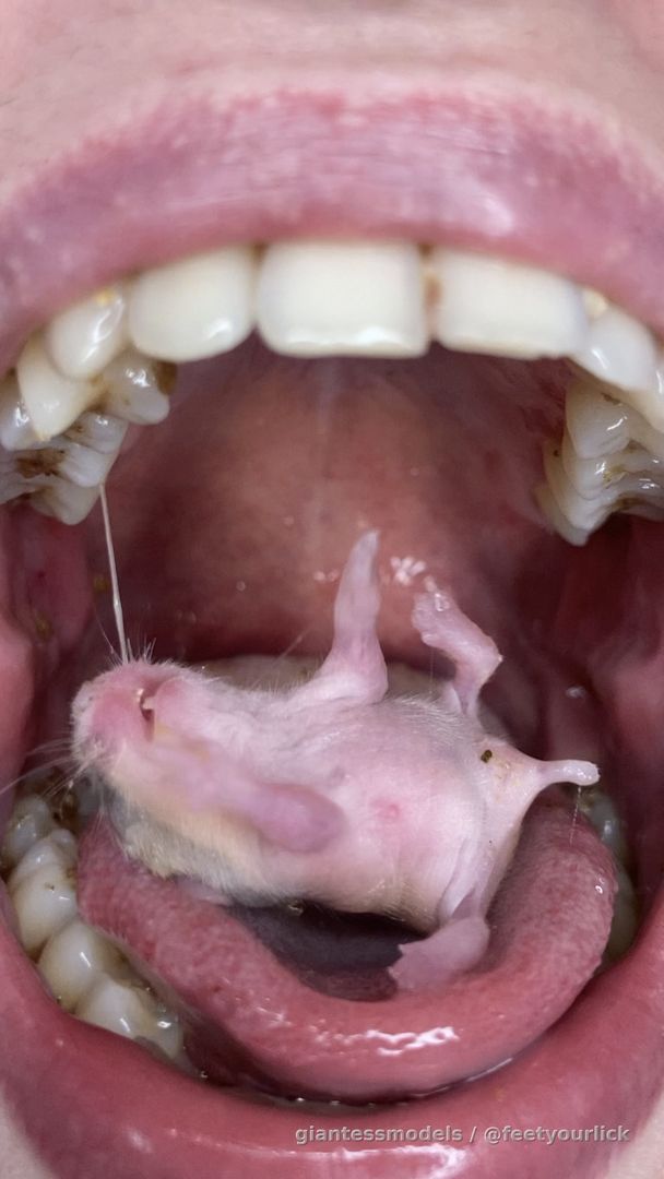 Mouse vore in 2 parts 🐭 mouth play❣️ BIG DISCOUNT ❣️