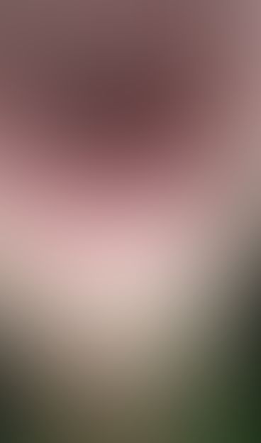 String vore video collection, cheap package for sale, collection one