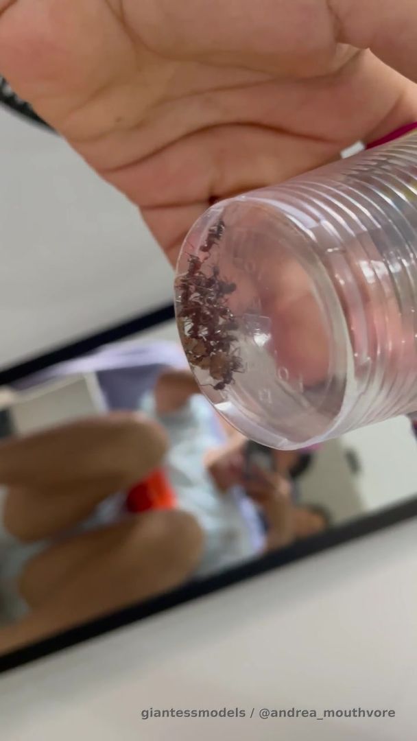 Chewing ant!! Dm for more info 
