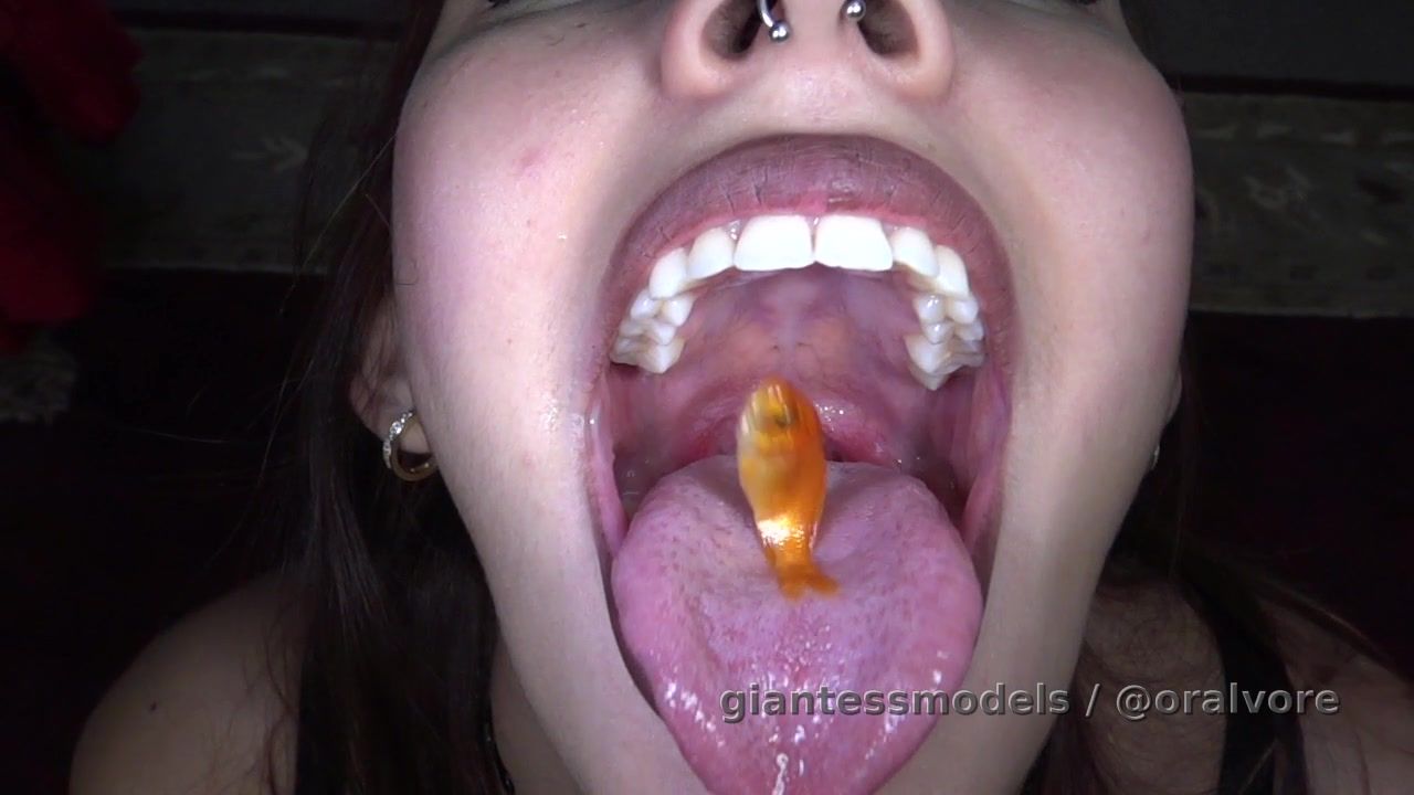 WV49 60FPS – Part One & Part Two – Vore Games Slow Motion – This video is in slow motion, but it’s all and only action. The first 5 mins are Wink tossing gummy bears into the air and catching them in her mouth. The remaining 15 mins is all live prey. Wink tosses fish into the air and catches them in her mouth. Fish explode into her mouth from the end of a tube, Wink open mouth swallows fish (one even flips right down her throat in slo-mo, it’s awesome.