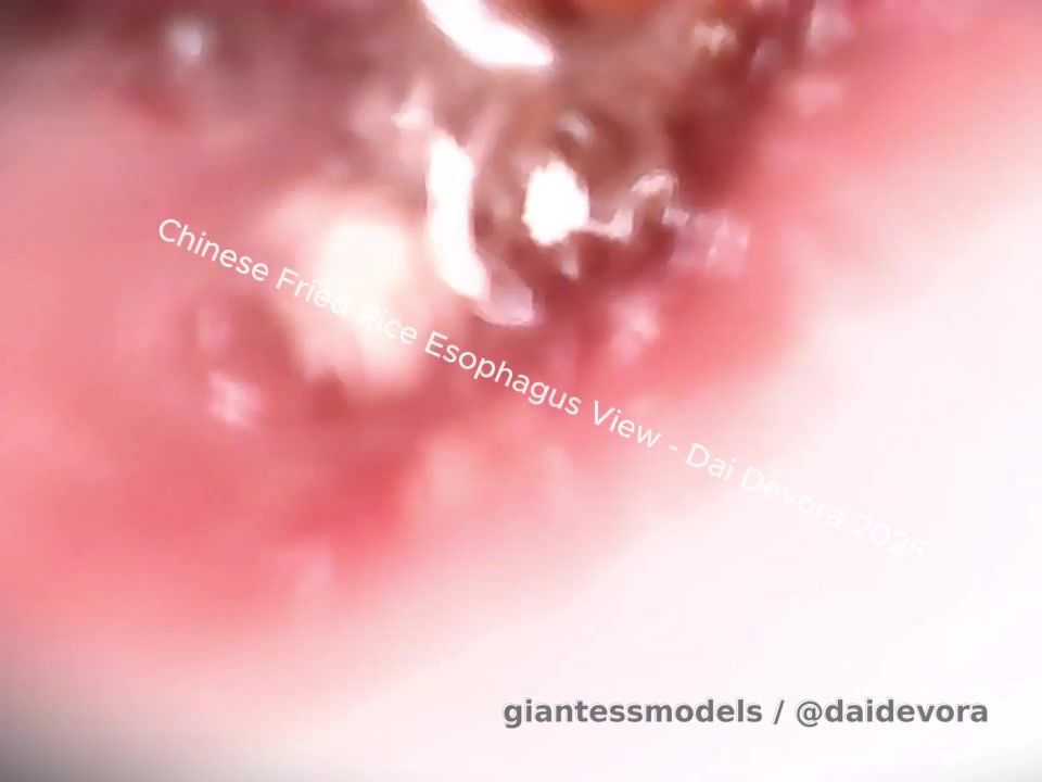 Chinese Takeout Esophagus View - (ENDOSCOPE ONLY / NON NUDE) - #Endoscope #Inside View #Vore Soft #Food Vore #POV #Ebony Model
----
Get ready for a sensual and satisfying vore experience 📺👀, as I indulge in a delicious fried Chinese takeout meal 🍴 and savor the taste of you 🤯. Watch as I slowly swallow you and feel you dangling in my esophagus 🔍, all while I continue to enjoy my meal and play with myself till I reach multiple orgasms 🌟👑. And as you slide down into my stomach, you'll get a front-row seat to the digestive process, watching as food particles and liquids flow past you, a mere inches from your... well, whatever is left of you 😳. This is a vore fantasy come true, where the thrill of being eaten and the pleasure of satisfaction collide 🔥.
