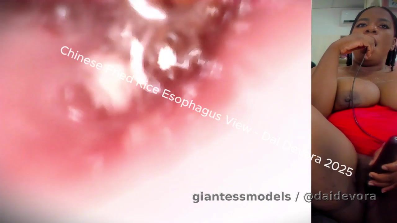 Chinese Takeout - Esophagus View - (2 Cam View / Nude) - #Nude #Endoscope #Inside View #Vore Soft #Food Vore #African Models #POV #Ebony Model
----
Get ready for an intimate and explicit vore experience 📺👀, as I share with you my favorite way to enjoy a meal - with a side of you 🍴🤯. Watch as I slowly swallow you and feel you dangling in my esophagus, all while I continue to eat and play with myself till I reach multiple orgasms 🌟👑. And as you're sliding down into my stomach, you'll get to see the food I'm eating up close and personal - a delicious, greasy, and utterly satisfying mix of Chinese takeout 🍴, all flowing past you like a gastronomic waterfall 🌊. This is a vore fantasy that's both sensual and satisfying, with a focus on the thrill of being eaten and the pleasure of satisfaction 🔥.