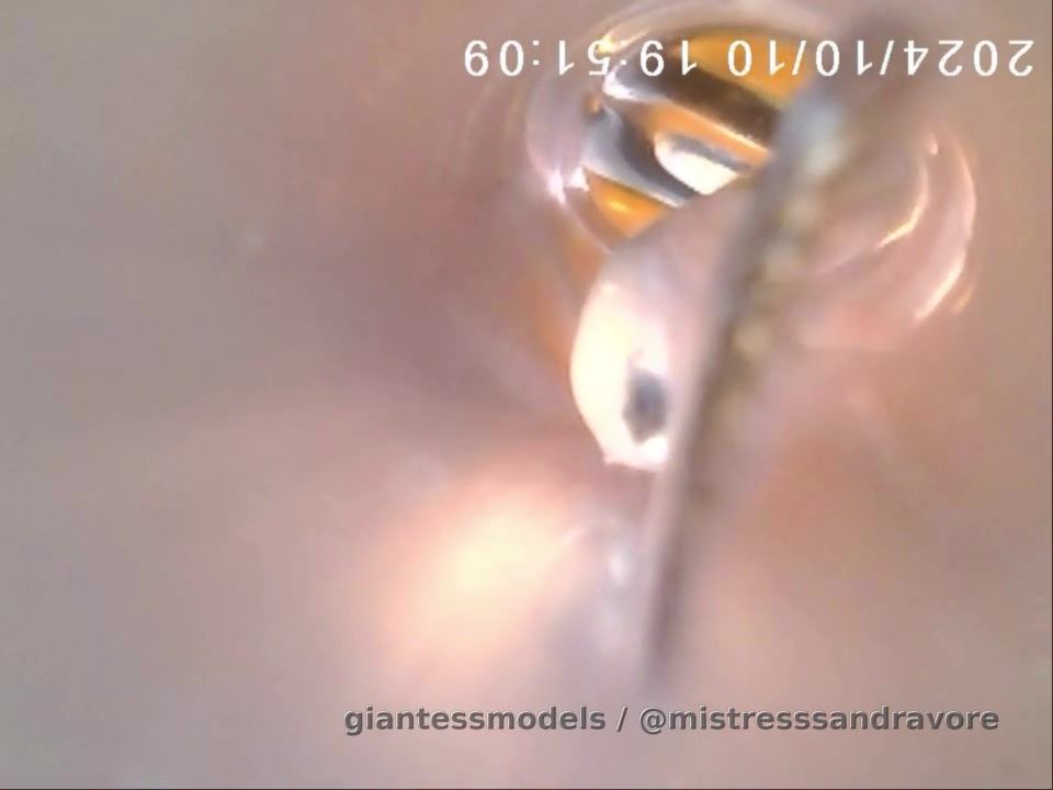 I took a pipe and use it to have fun with a fish (: 

And my new endoscope follows him until it arrives inside my big mouth. And guess what? I Played with him and enjoy it a lot! 

To finish, I took the camera in the reverse view!