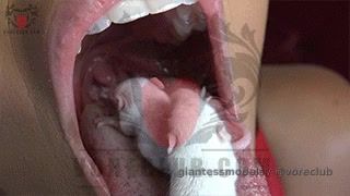 CLAVP14 – Grinch Who Ate Her Gifts – Claudia opens her Christmas gift on Christmas morning and she is so excited to get what she wanted… SOMETHING ALIVE, TO EAT!!! Claudia gives her 2 gifts a tour of her giant body and she compares their tiny size to her giant size, and she shows them where they will be dropped in, and where they will come out. Claudia plays with her gifts, but she is so hungry and she has been looking forward to these gifts ALL YEAR! Claudia can make her little meals sing Christmas carols by squeezing their tails… she’s so evil. When Claudia is ready to be fed, she decides it would be fun to open mouth swallow one of her gifts, while the other gift was forced to watch his brother drop down, head first into her gullet. After her gift witnesses the horror of live vore, he is played with a bit, saliva’d up to be good and slippery, and down her goes, head first too. Awe, look at their little legs licking and struggling NOT to go down. Too bad, bye bye.