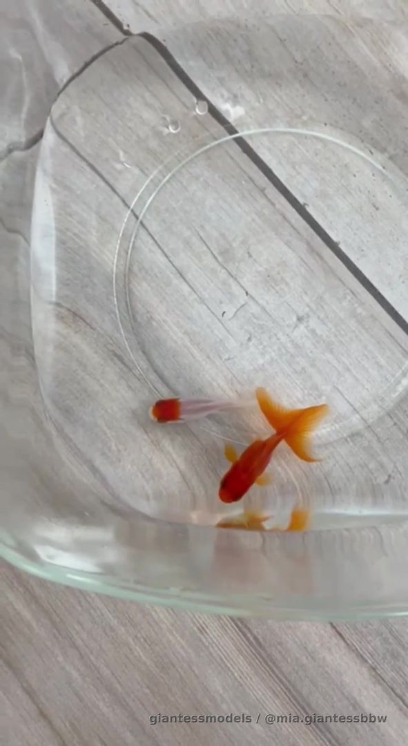 Do you want to see the full video of me swallowing this beautiful fish? Ask me to buy it privately in the messages