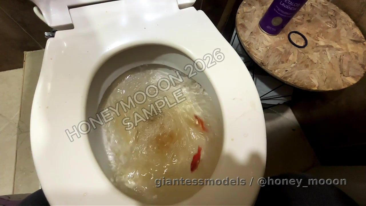 Vomiting up the meal 🤮, with up-close views of the food leaving my mouth and the fish in the toilet after 🚽. Not for the faint of heart, mi amor 🚨. But if you're ready for something intense, then this video is for you 🌟. As I throw up the spaghetti and fish, you'll get to see the food coming back up, and I'll be reacting to the sensation of it leaving my body 🤤. And after I'm done, you'll get to see the aftermath, with the food and fish ending up in the toilet 🚽.

This video is not for the faint of heart, mi amor 🚨. It's a raw and unedited look at the aftermath of a meal, and it's not for everyone 🤢. But if you're ready for something new and intense, then this video is for you 🌟. So sit back, relax, and get ready to experience the thrill of the vomit 🎥. #VomitVideo #FoodReversal #ToiletTales