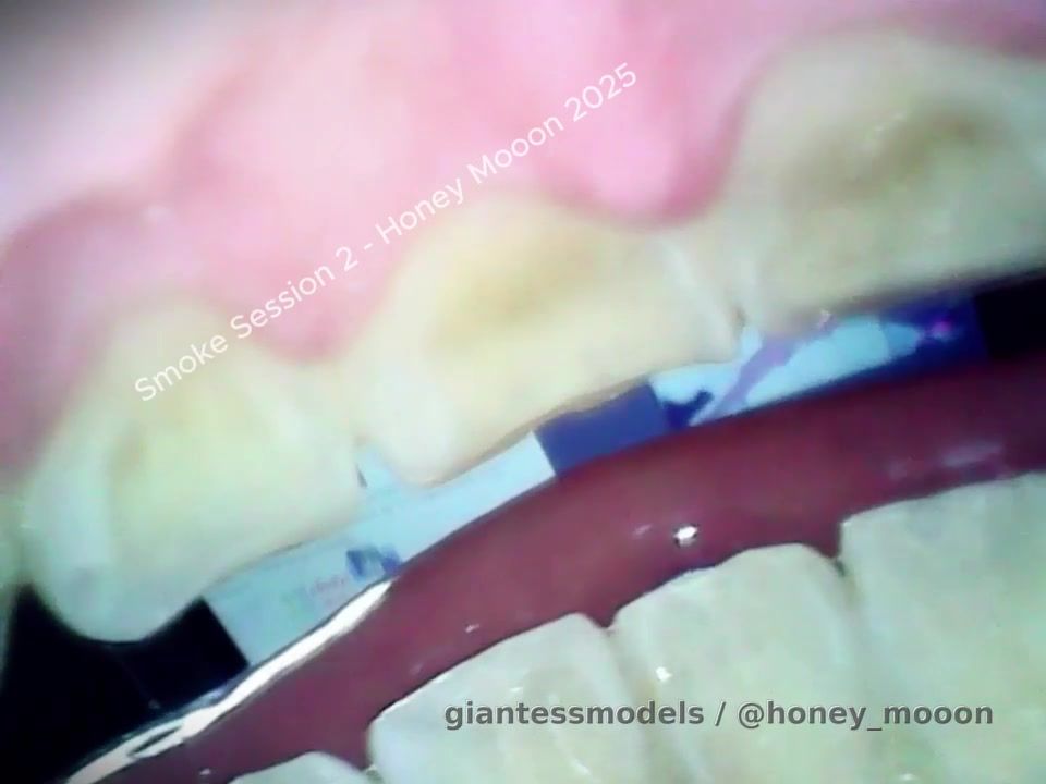 SMOKE SESSION #2 - Reverse Endoscope #Endoscope #Smoking #Latina Models #Mouthcam #Teeth #Inside View #non nude

(NUDE VER 2 CAM VIEW AVAILABLE PER REQUEST - OR WILL UPLOAD IF ENOUGH PEOPLE ASK FOR IT)
---------------
Join me, Goddess Maria, as I enjoy a cigarette and relax after a satisfying orgasm. You'll be inside my mouth, feeling the warm air and vibrations of my voice as I talk and inhale/exhale. As I get aroused again, you'll hear my moans and gasps of pleasure as I climax, all while being safely tucked away inside my mouth.