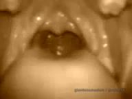 2008 YT SheLovesVore Mouthtour Closeup